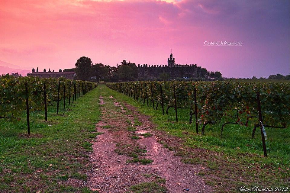 Wine & Lake In Franciacorta Passirano Exterior photo
